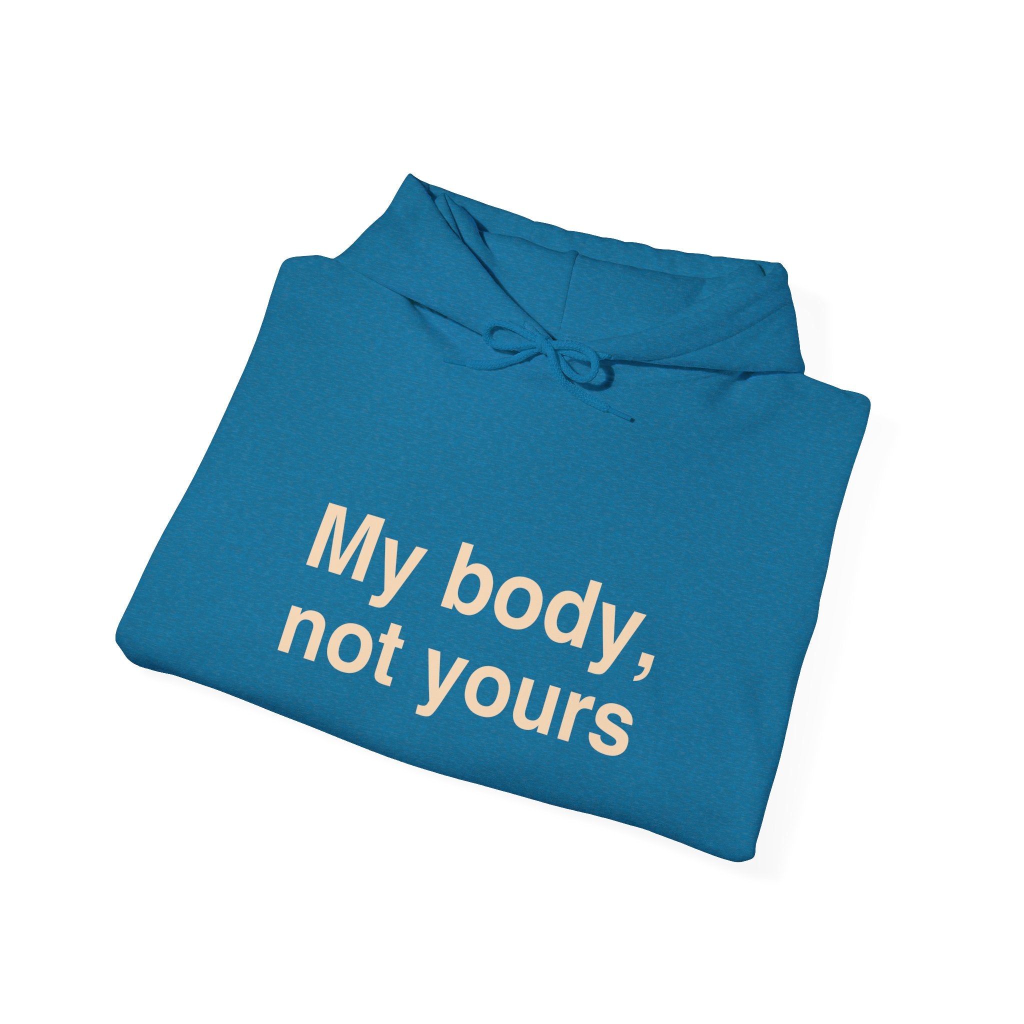 My Body, Not Yours Hoodies